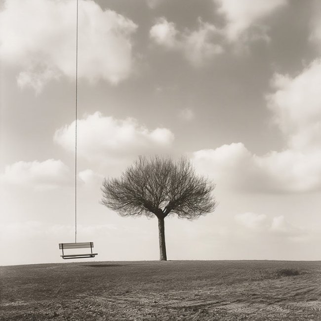 Árbol y columpio