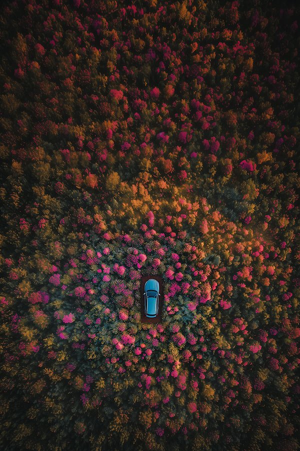 Aparcado entre flores