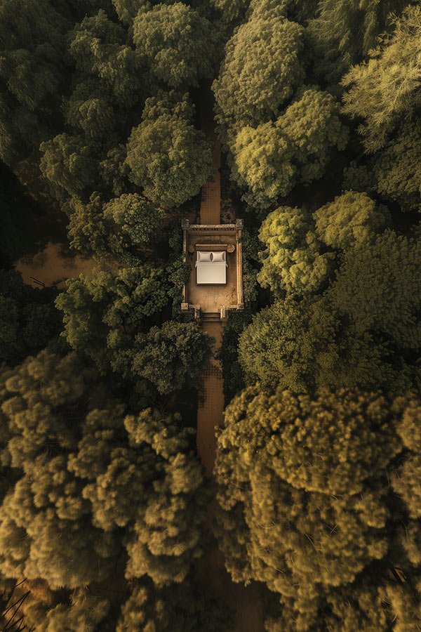 Dormitorio en el bosque