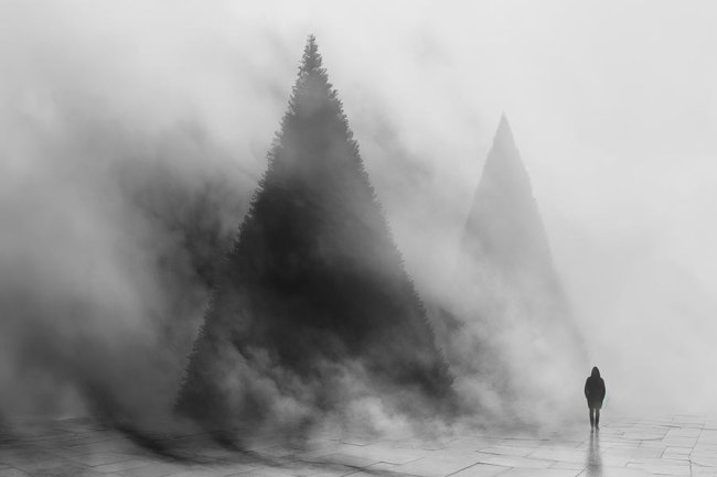 Niebla envolvente